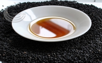 Nhai dầu mè trị bệnh